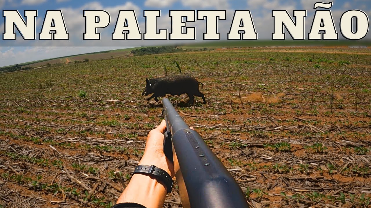 S&Oacute; VENDO PARA CRER | JAVALI BRASIL | #repost