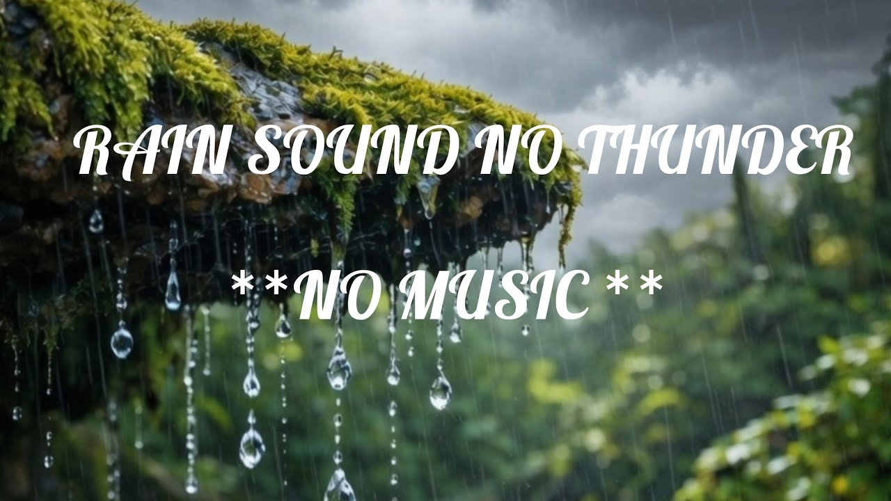 Relaxing Rain Sounds for Sleep 🌧️ 4K Nature Rain Ambience (3 Hours). #rain #rainsounds 