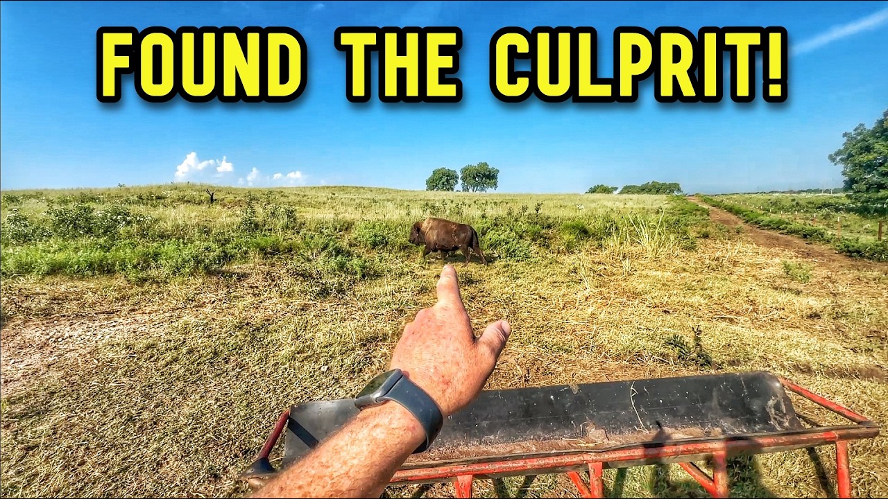 Went to Work on a Project...Found the Culprit!