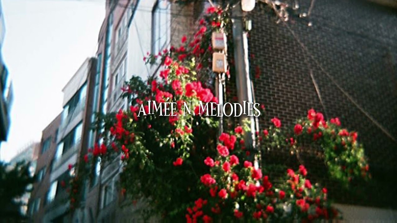 Hoa hồng không có gai, anh chỉ muốn được bên em mãi | playlist