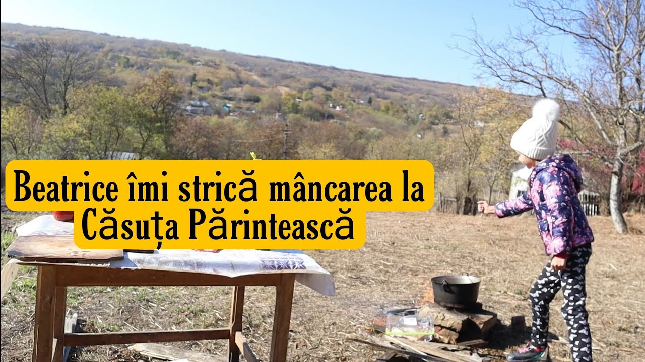 Am urcat în pod la Căsuța Părintească