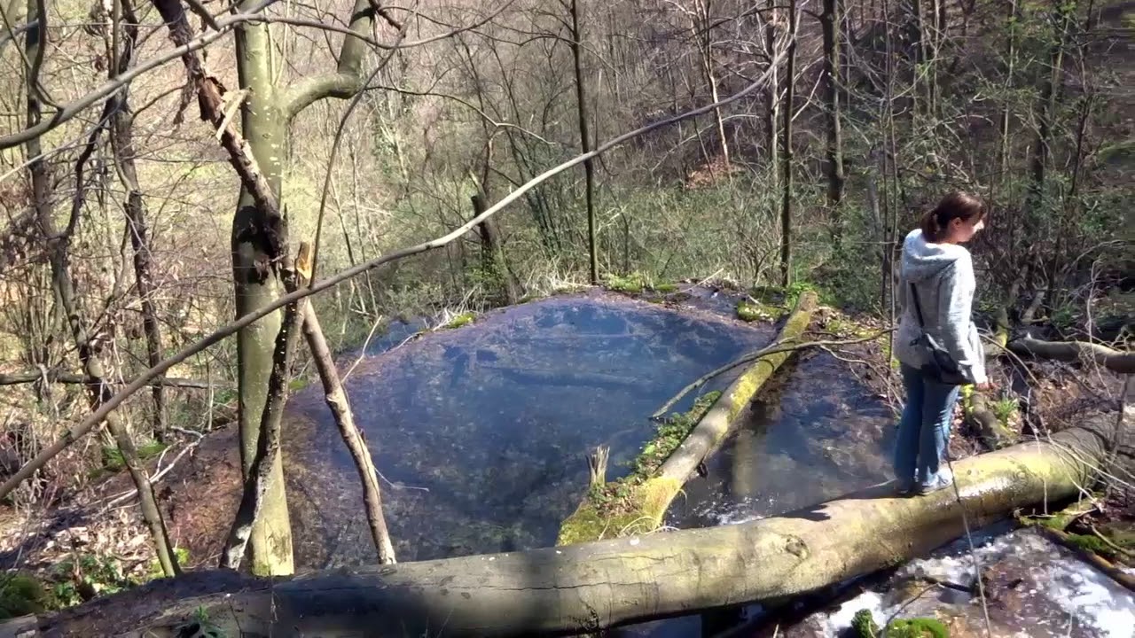BELI IZVORAC-VALJA PRERAST (Planinarska akcija)