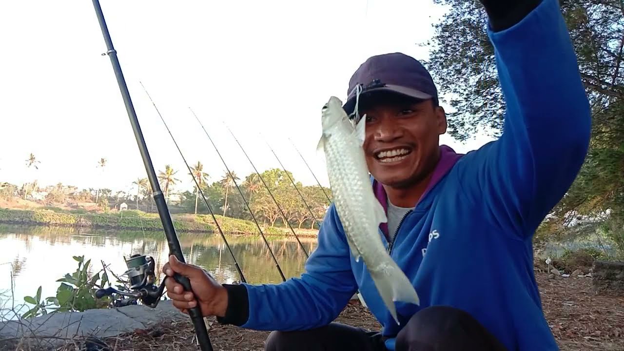 Rejeki luar biasa saat mancing ikan belanak  di muara pantai glagah indah