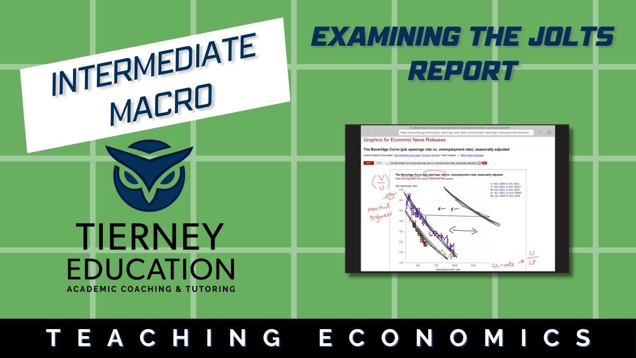 Examining the JOLTS Report