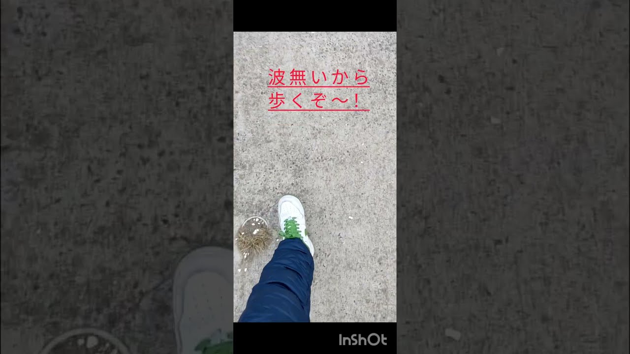 2/8 荒浜Walking