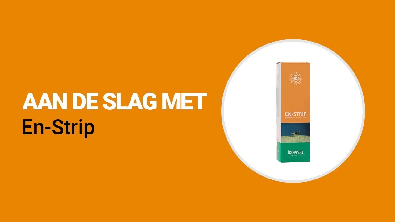 Aan de slag met En-Strip van Koppert