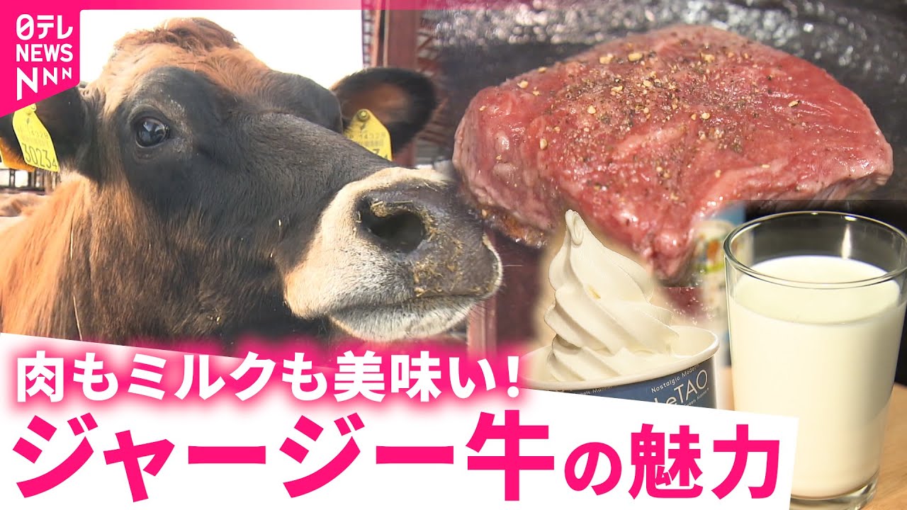 【人気】ステーキにもスイーツにも！ジャージー牛の魅力　北海道　NNNセレクション