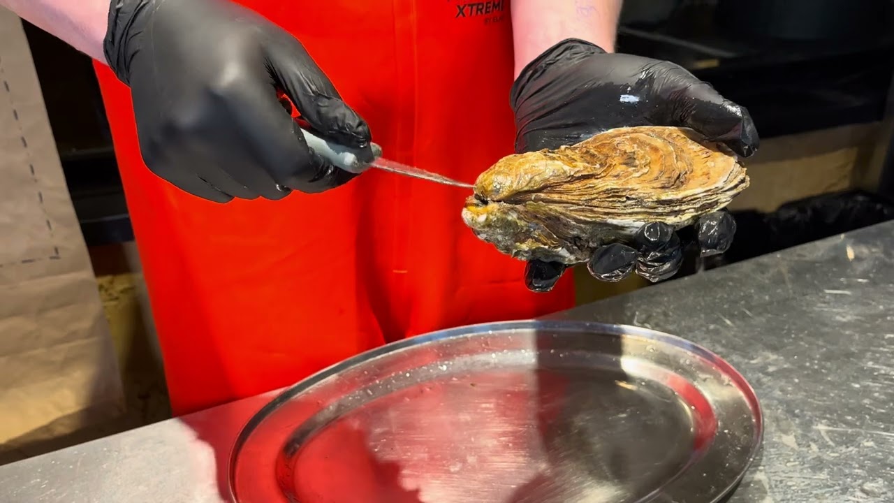 Відкриваємо устриці. Ілля