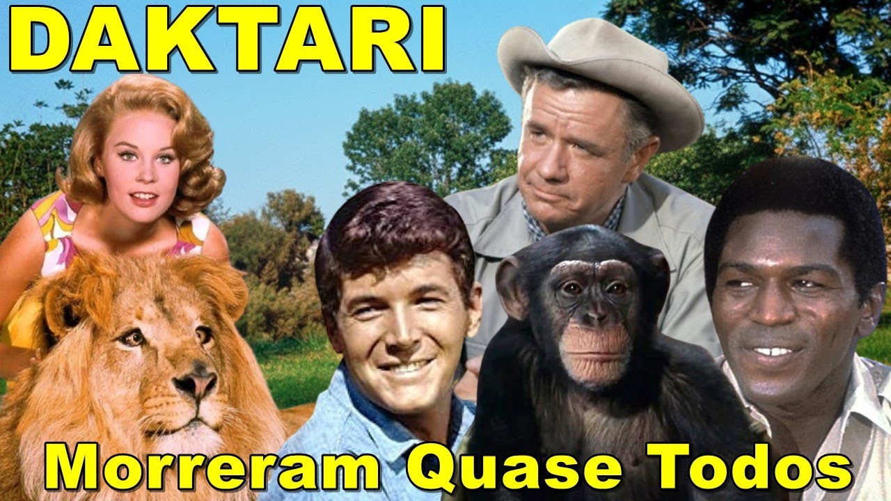 O Trágico Fim de Daktari