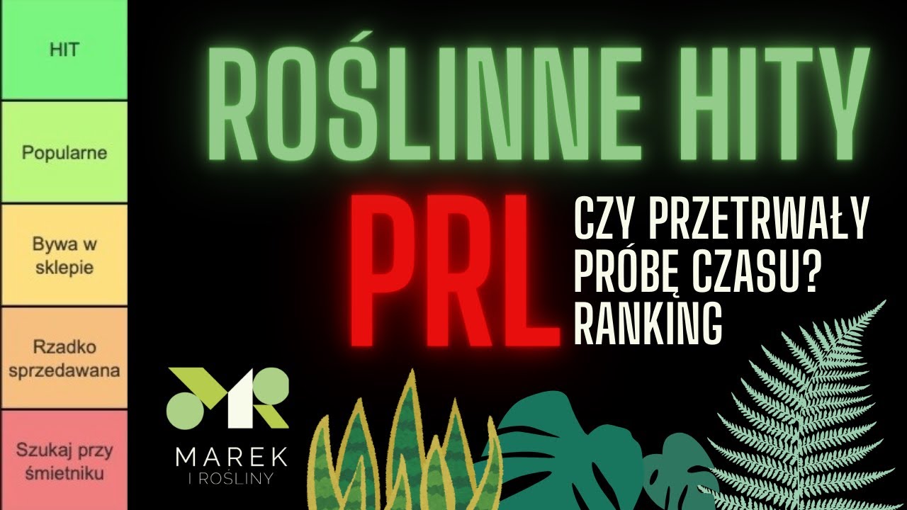 Roślinne hity PRL - czy przetrwały próbę czasu? RANKING
