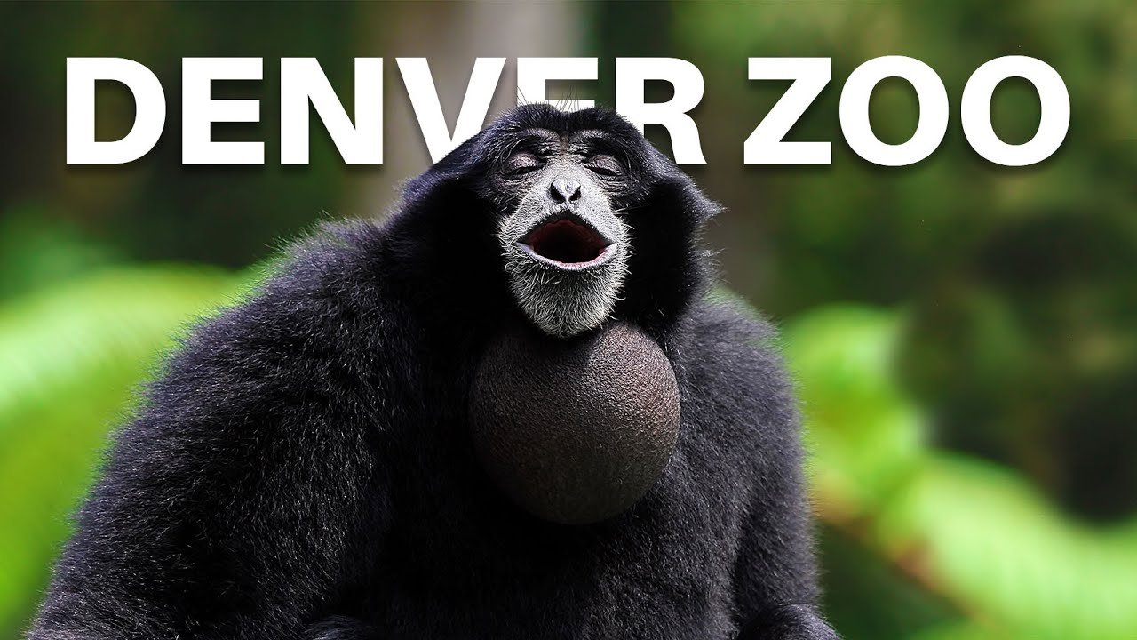 Denver Zoo, Denver, Colorado