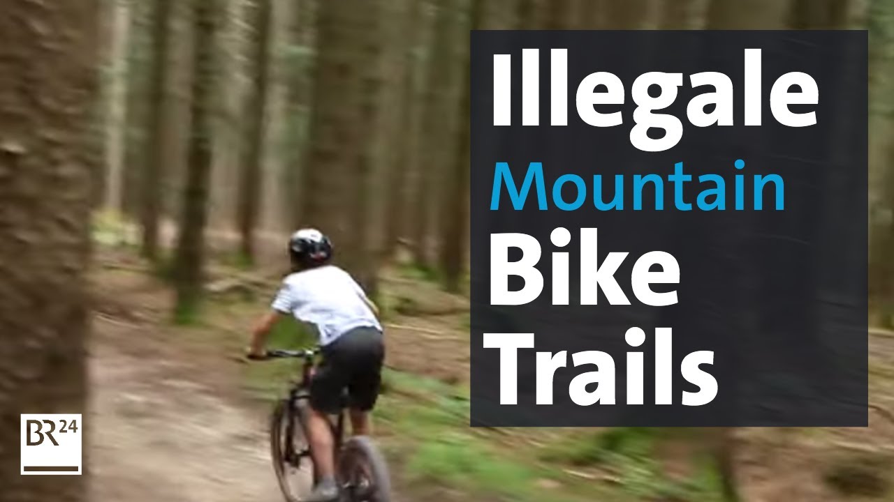 Mountainbiker vs. Waldbesitzer: Immer mehr illegale Trails in den Wäldern | Abendschau | BR24