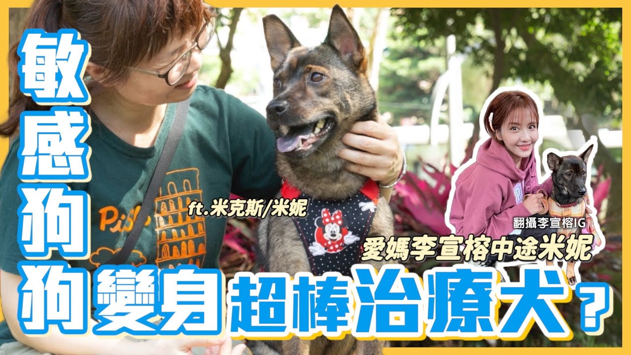 【熊爸估狗】沒有不可能！敏感狗狗化身成治療犬 ｜鏡週刊