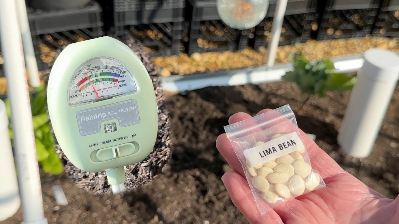 Using a DIY Soil Tester to amend your garden soil naturally