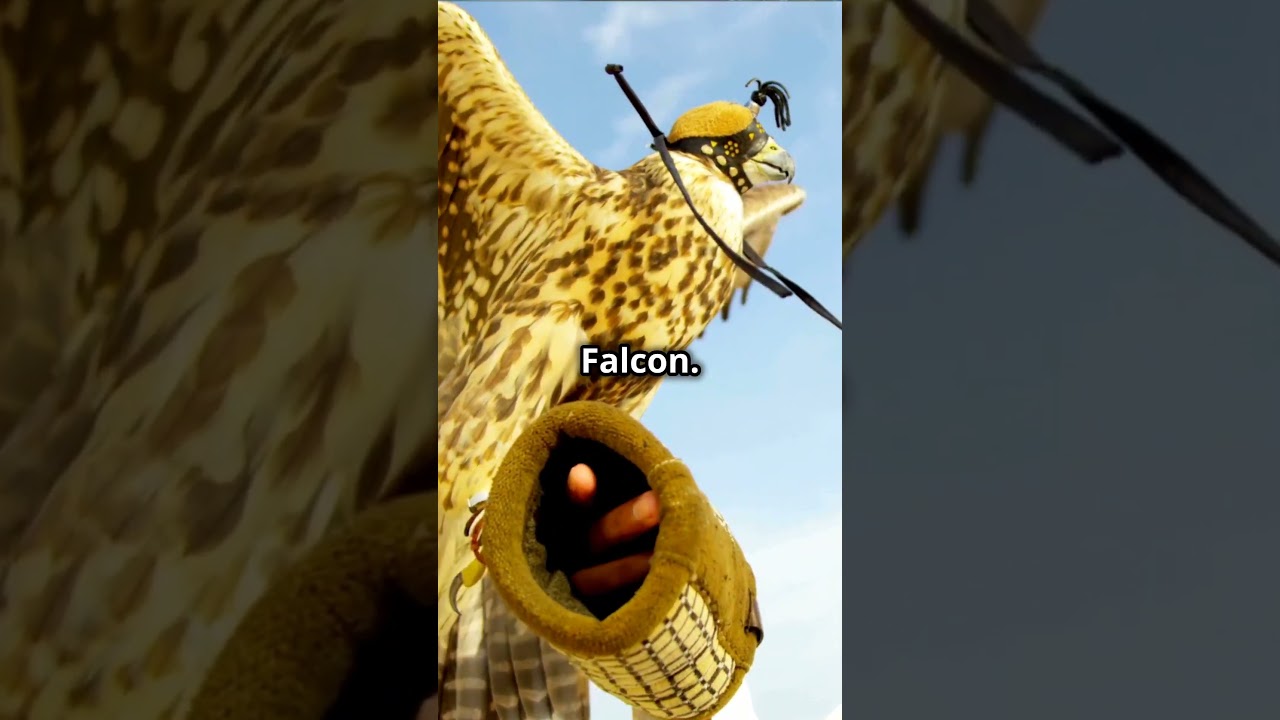 Unmasking Dove & Falcon's Unlikely Friendship! #facts #shorts #knowledge #entertainment #animals