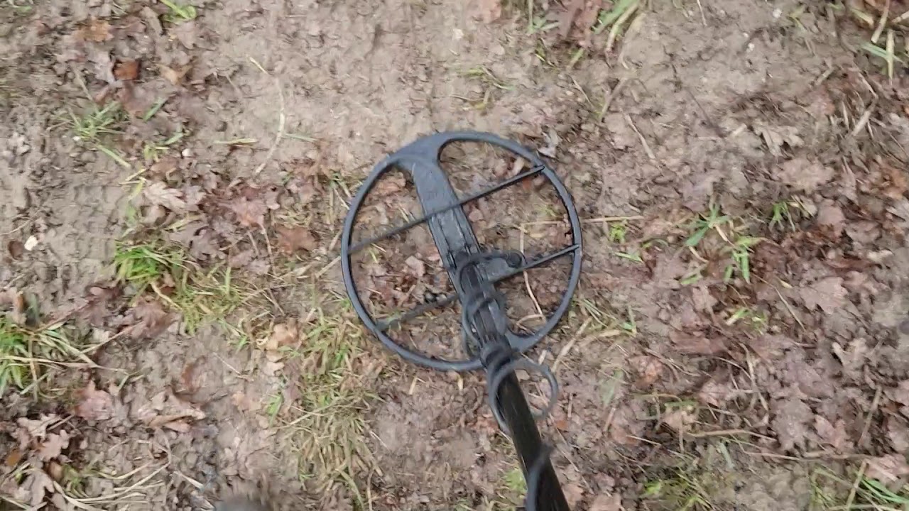 aka signum vs minelab explorer vs golden mask 4 gm4 vs 2 kopiejki depth 30cm