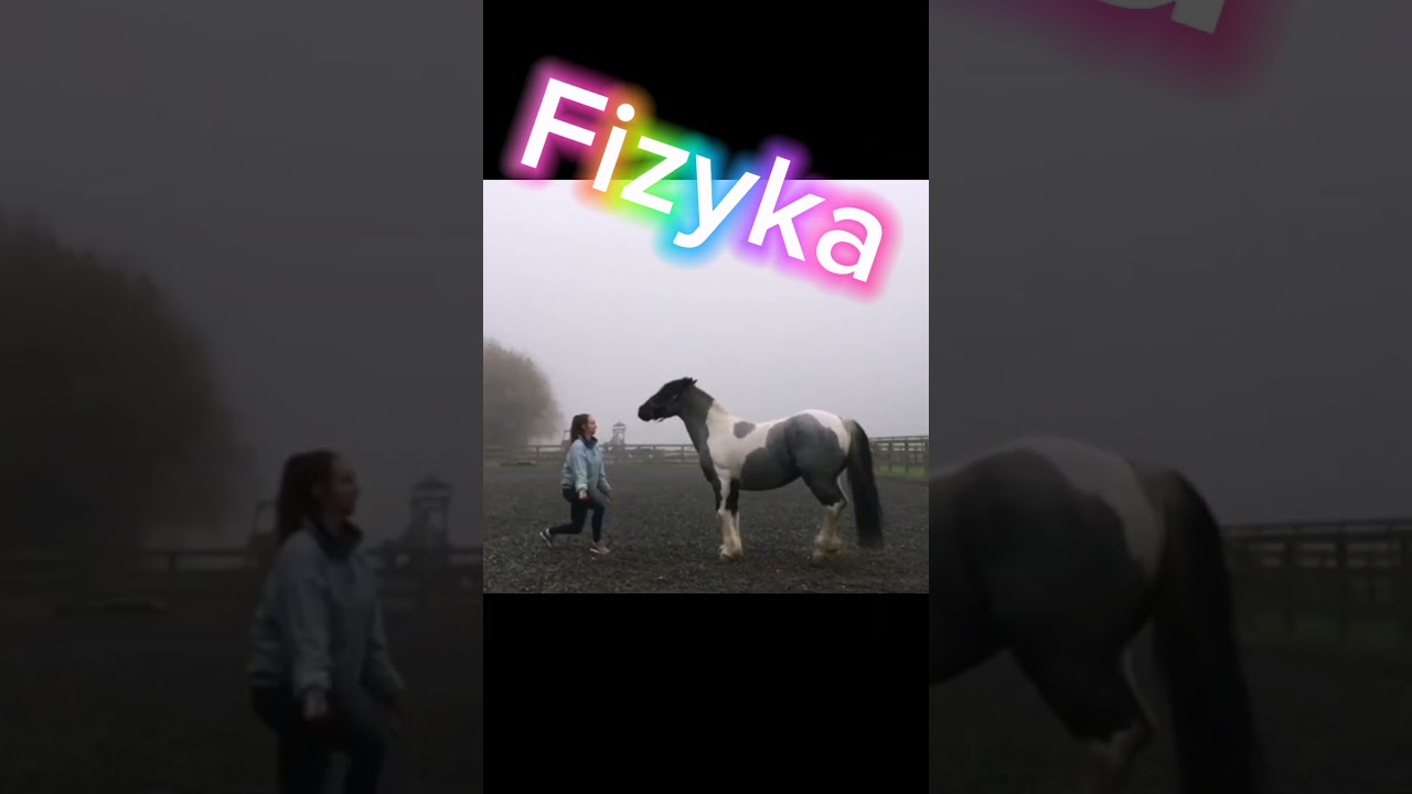 Jazda konna niczego cię nie nauczy!!!                     