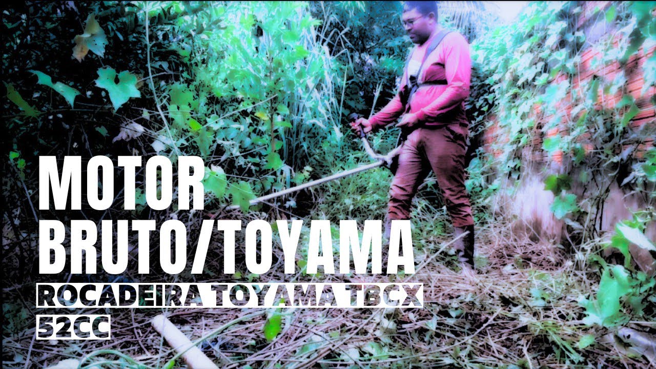 Fui fazer uma limpeza no quintal com minha roçadeira Toyama 52cc e meu motosserra Toyama.
