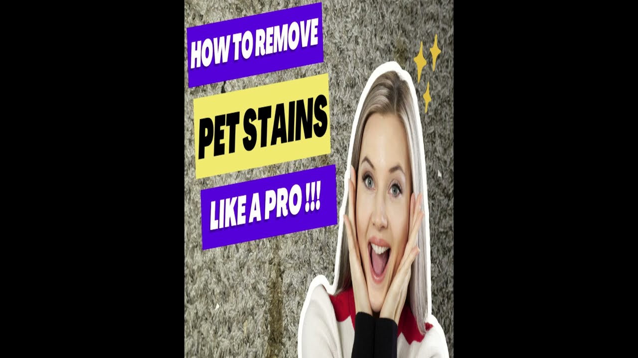 How to remove pet stains at home like a Pro ! DIY pet stain treatment