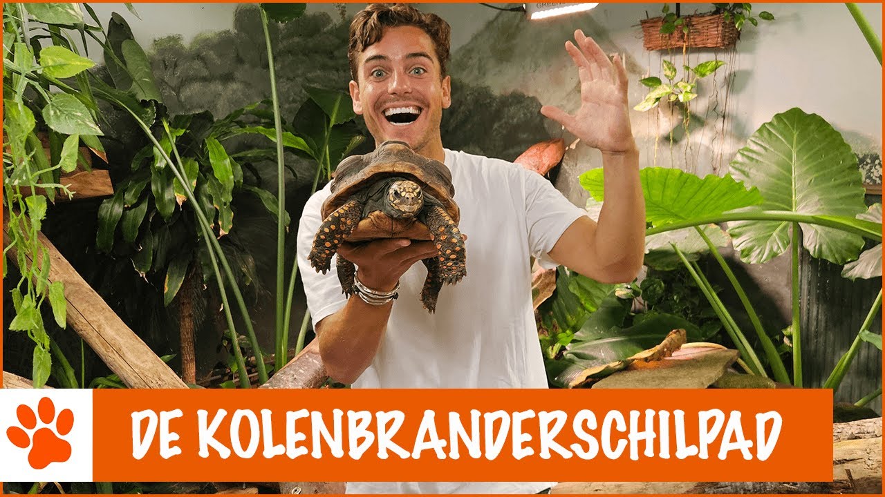 Is dit de oudste diersoort? | DierenpraatTV