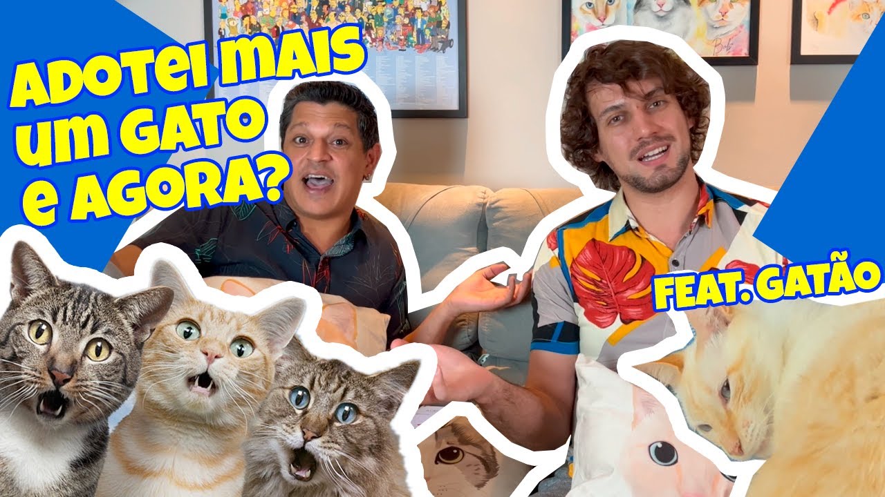 🔴DICAS para fazer a ADAPTAÇÃO do seu novo GATINHO! 😻