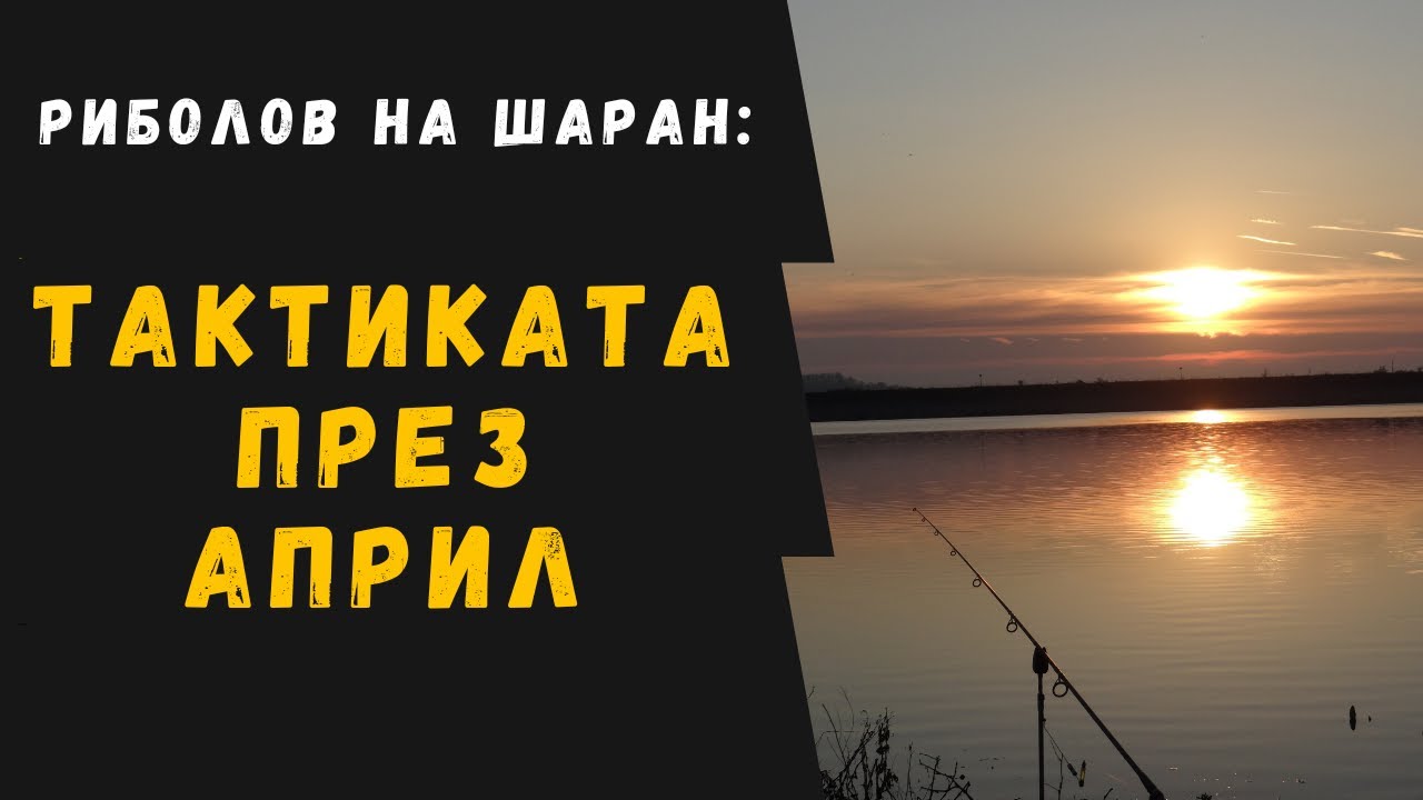 Риболов на шаран: Тактиката за Април (2023)