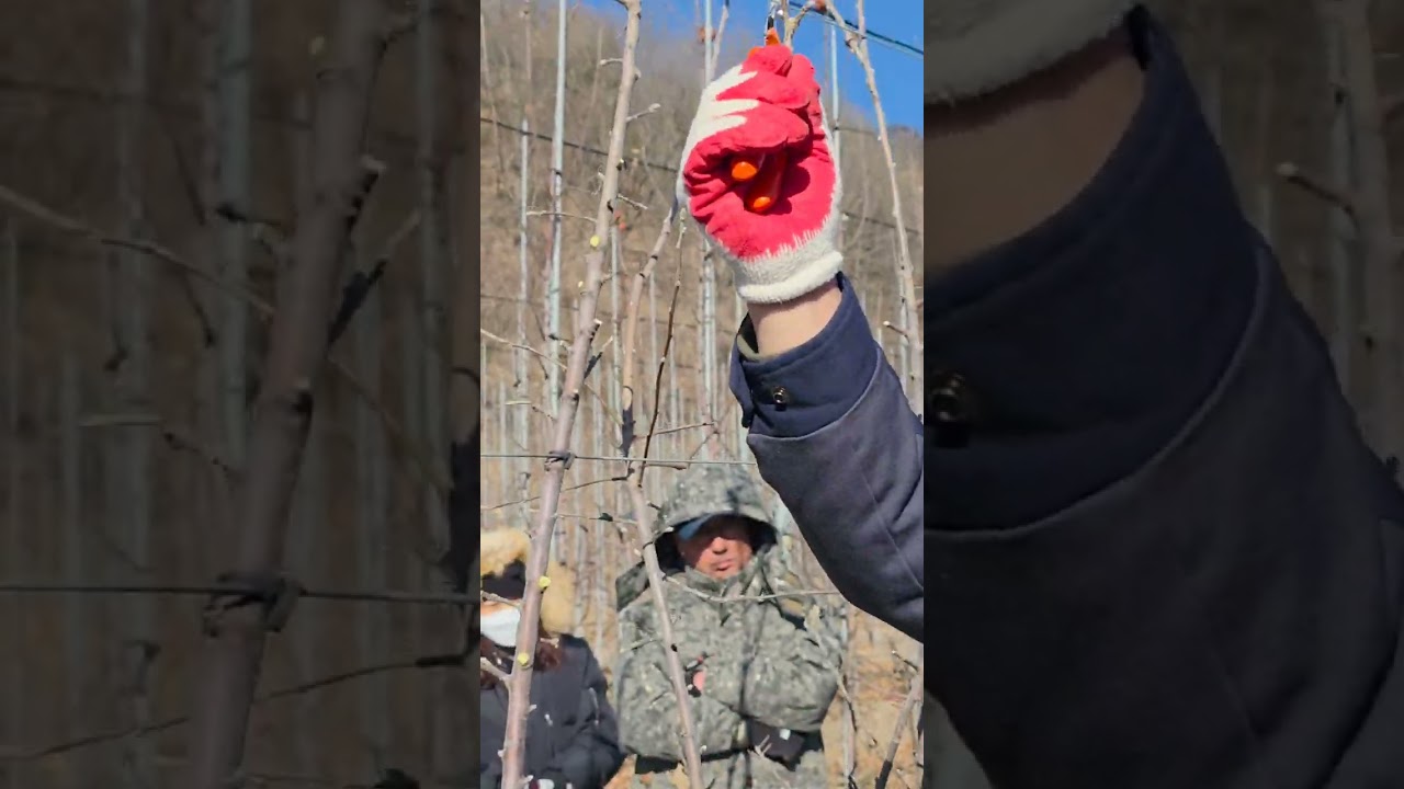 박강열강사님 엔부 전정교육 다녀왔습니다