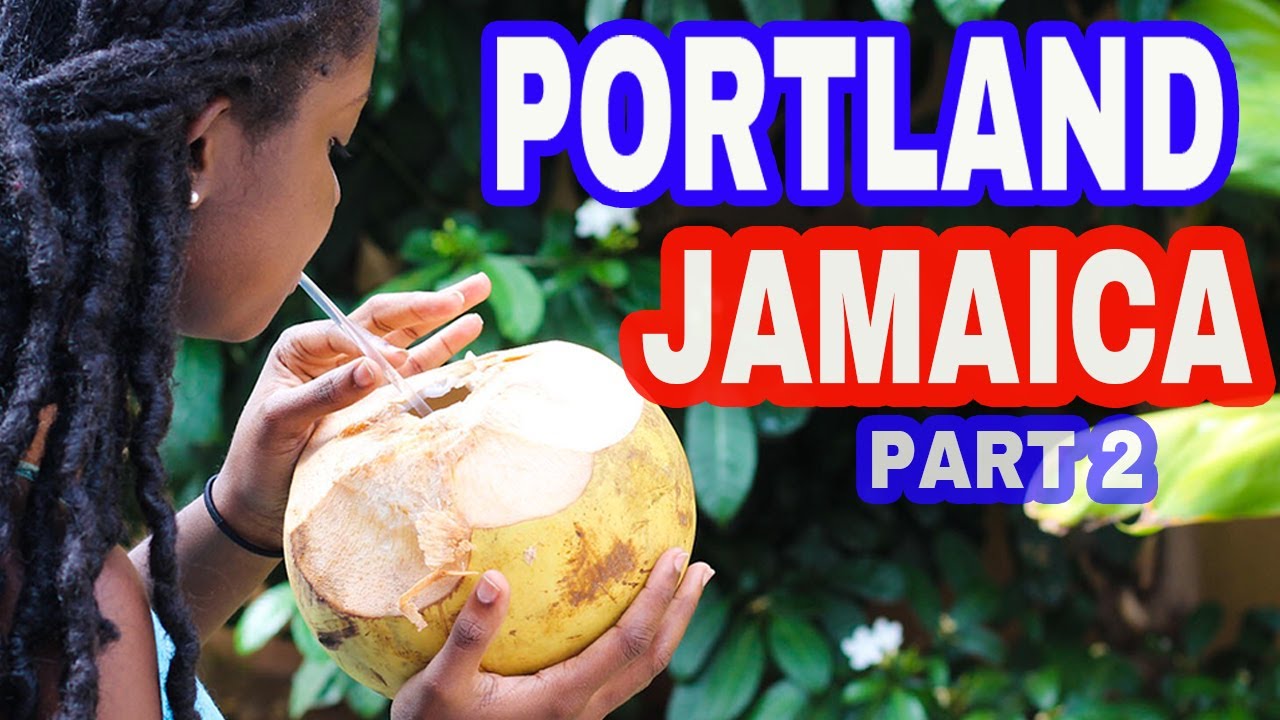 HERE'S WHY YOU SHOULD MOVE TO PORTLAND JAMAICA
