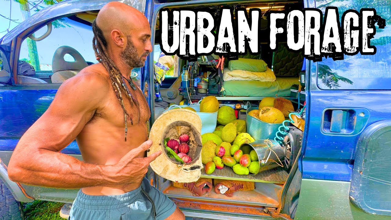 Urban Adventure: Wild Bushman Finds FOOD!