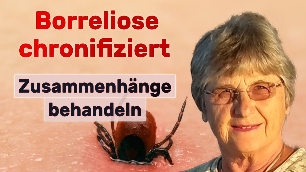 Borreliose: Koinfektionen und Cofaktoren testen und behandeln. Dr. Petra Hopf-Seidel