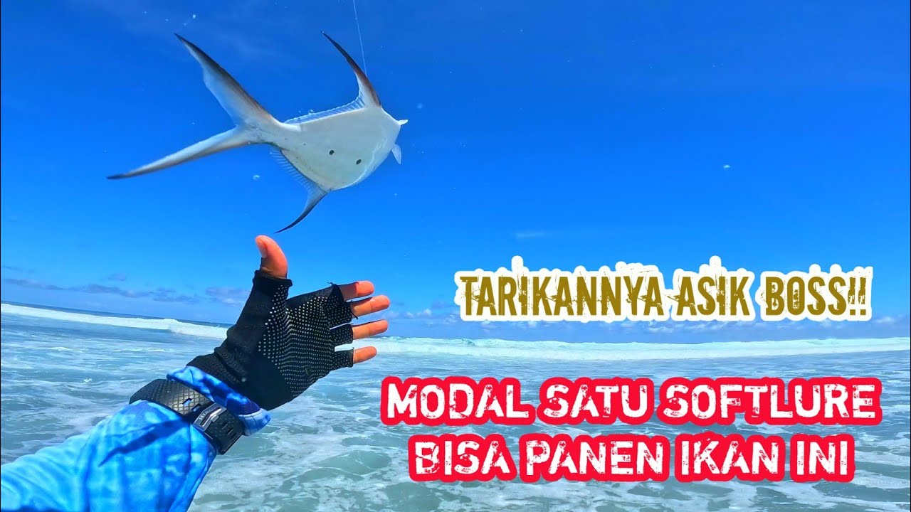 ‼️CUMA MODAL SATU SOFTLURE BISA PANEN IKAN INI‼️FULL STRIKE IKAN SILVERDART || PANTAI PANDAWA