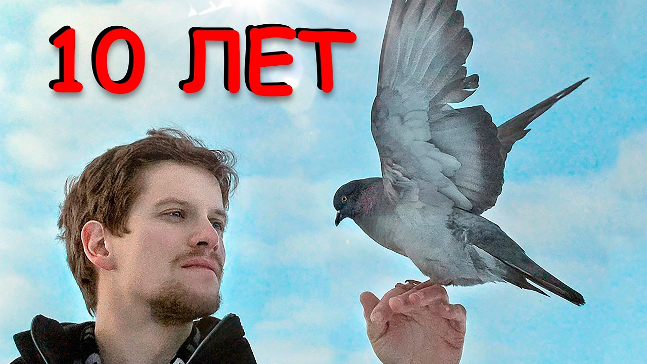 НАМ 10 ЛЕТ! ДЕНЬ РОЖДЕНИЯ КАНАЛА