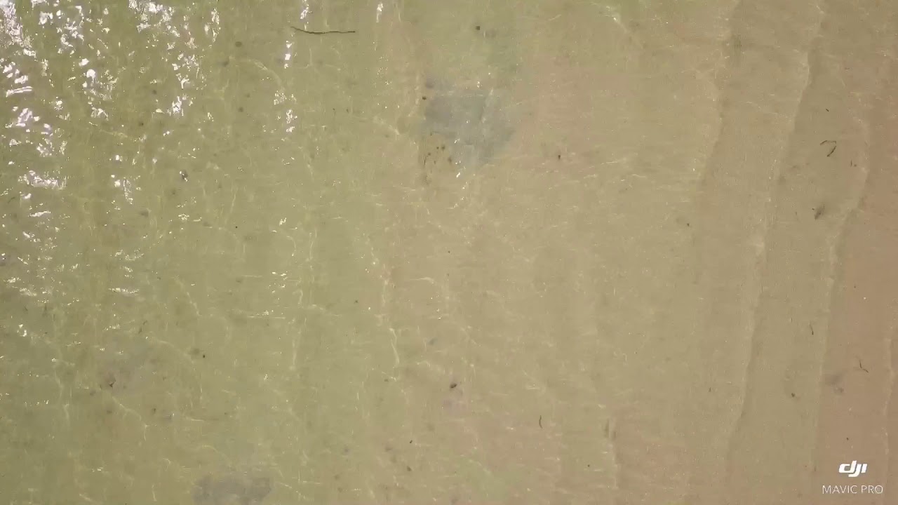 Shelly Beach - Ceduna