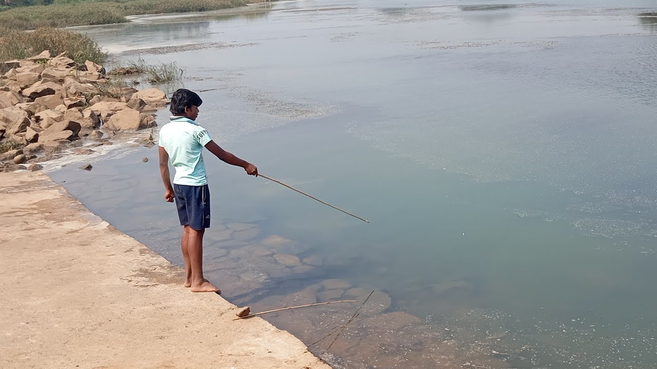 ଆମ ଗାଁ  ନଦୀ ରେ ମାଛ 🐟