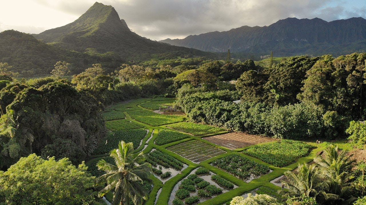 Hoʻokuaʻāina Farm Tour