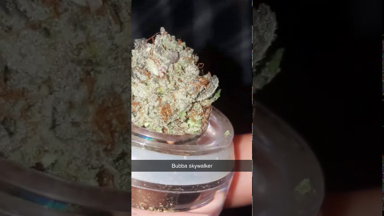 Bubba kush x skywalker og #medicalmarijuana#tastetheterps