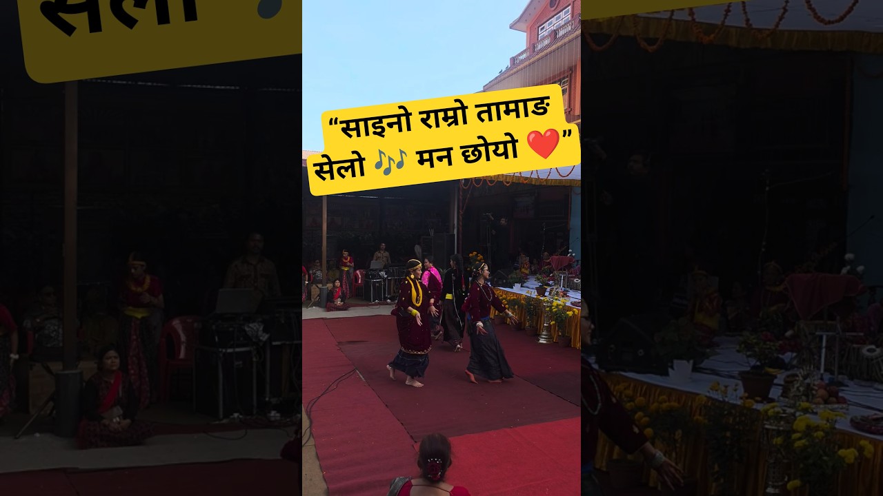 Saino Ramro Tamang Selo Geet | New Tamang Selo Song 2025 