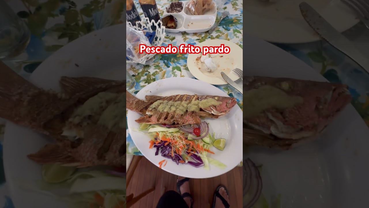 Champoton Campeche, disfrutando un pescado pardo al mojo de ajo