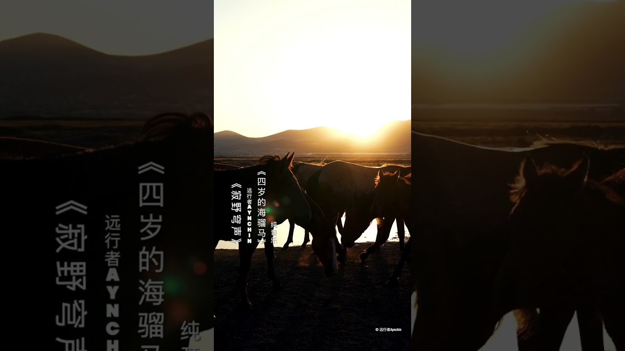 “The Four-Year-Old Bay Horse” | Barga Mongolian Long Song