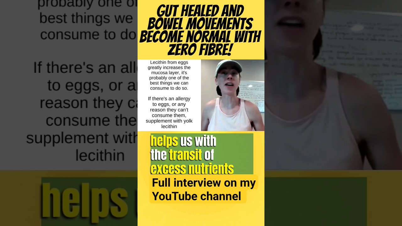 Gut healed with ZERO FIBRE and meat healing diet 