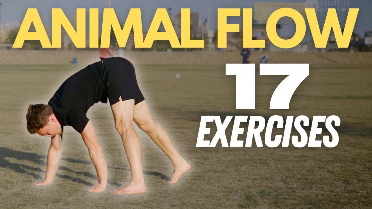 Animal Flow Beginners //  FOLLOW ALONG