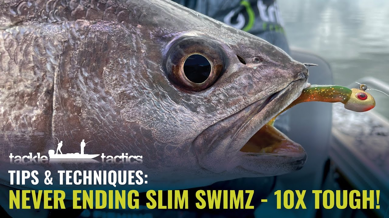 Never Ending ZMan 2.5" Slim SwimZ - 10X Tough!