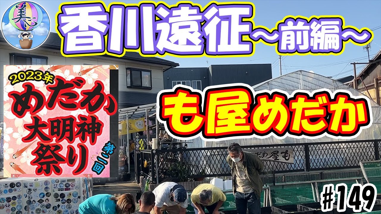 香川遠征～前編～！も屋めだかさん訪問【第二回めだか大明神祭り】＃１４９ ～美心めだか～