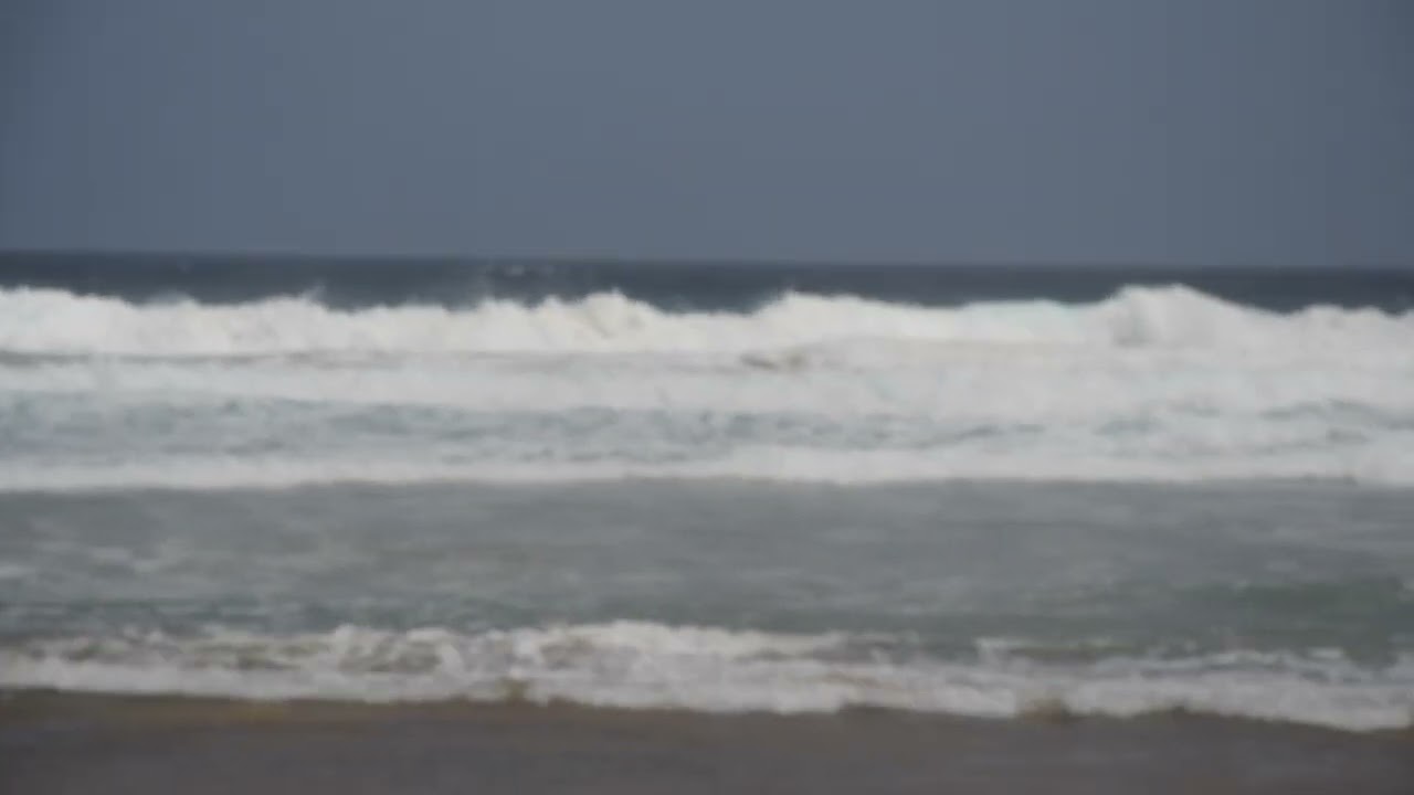 Aus Der Ferne - Oli Schneider