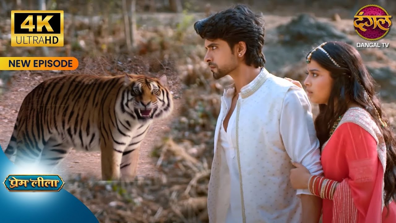 Leeela के लिए प्रेम Tiger से भी लड़ सकता है - Prem Leeela 4K Ultra HD New Episodes | Dangal Tv