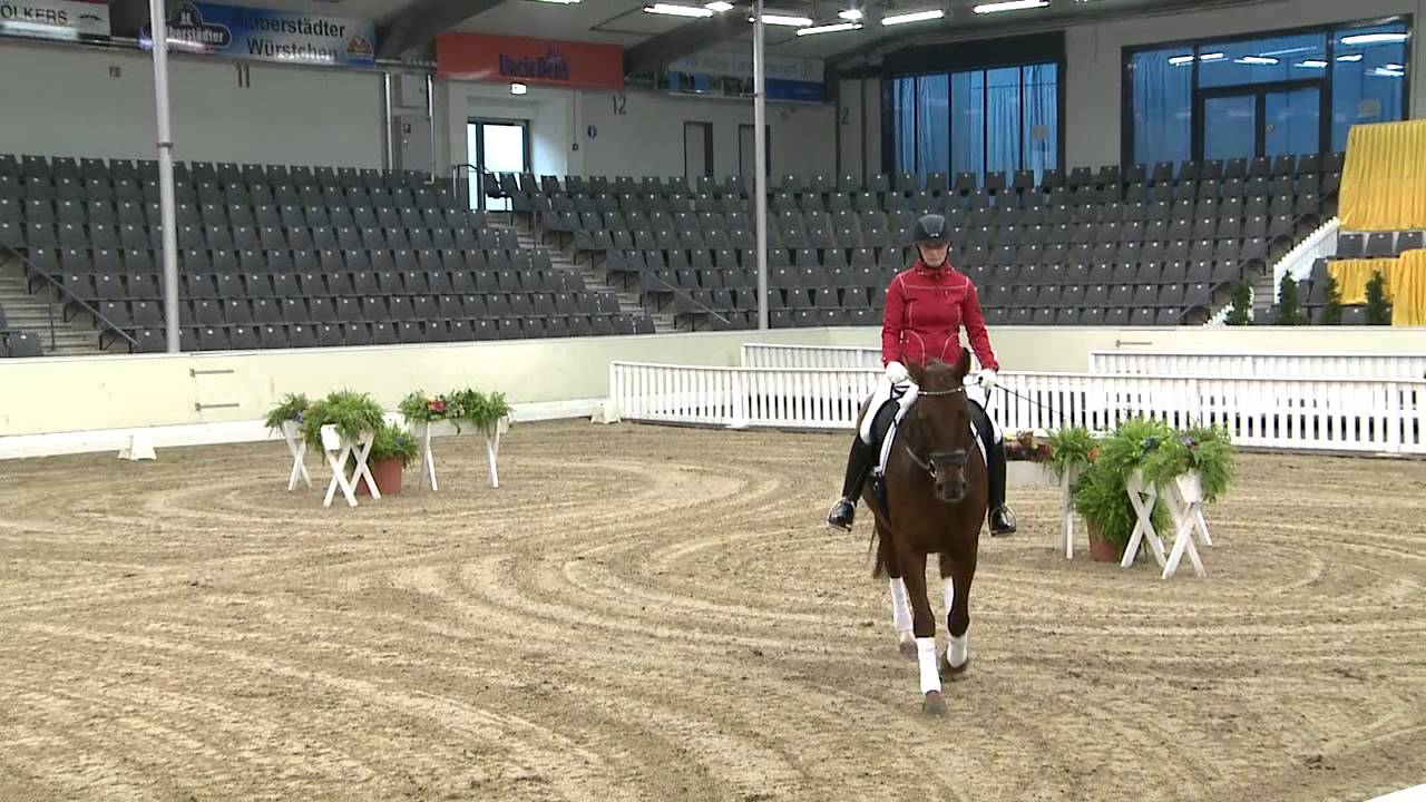 Ein Auktionspferd kehrt zurück - Training mit Klaus Balkenhol