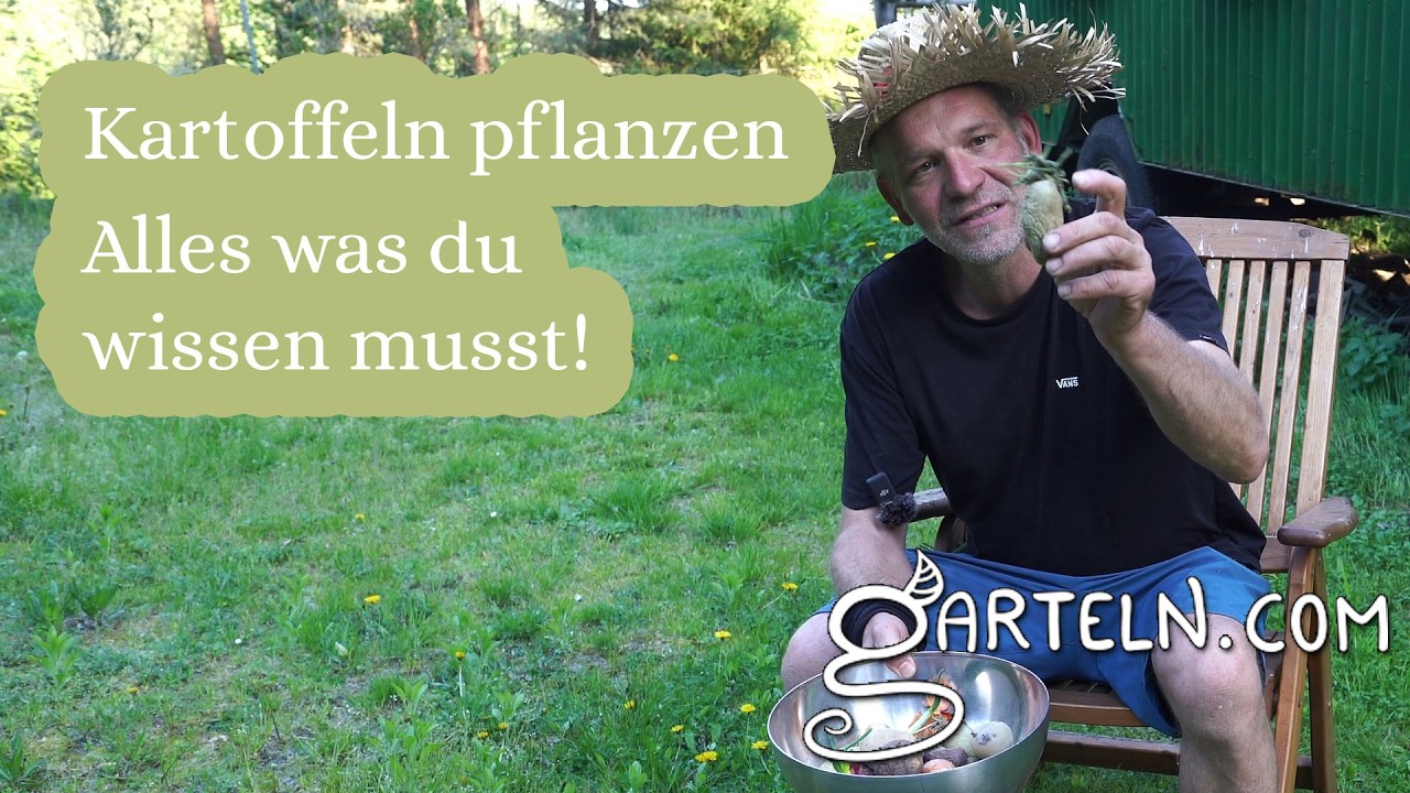 Kartoffeln pflanzen im Frühling -  Unsere Tipps für euch!