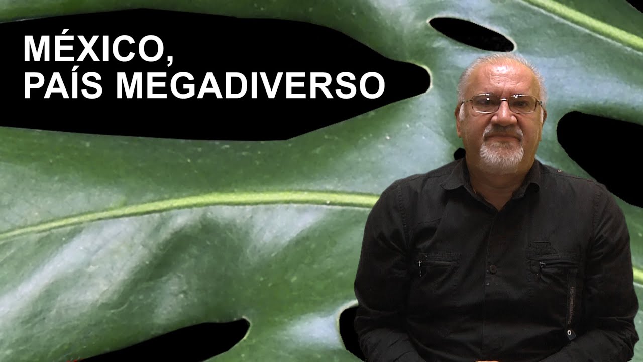 Biología: México país megadiverso
