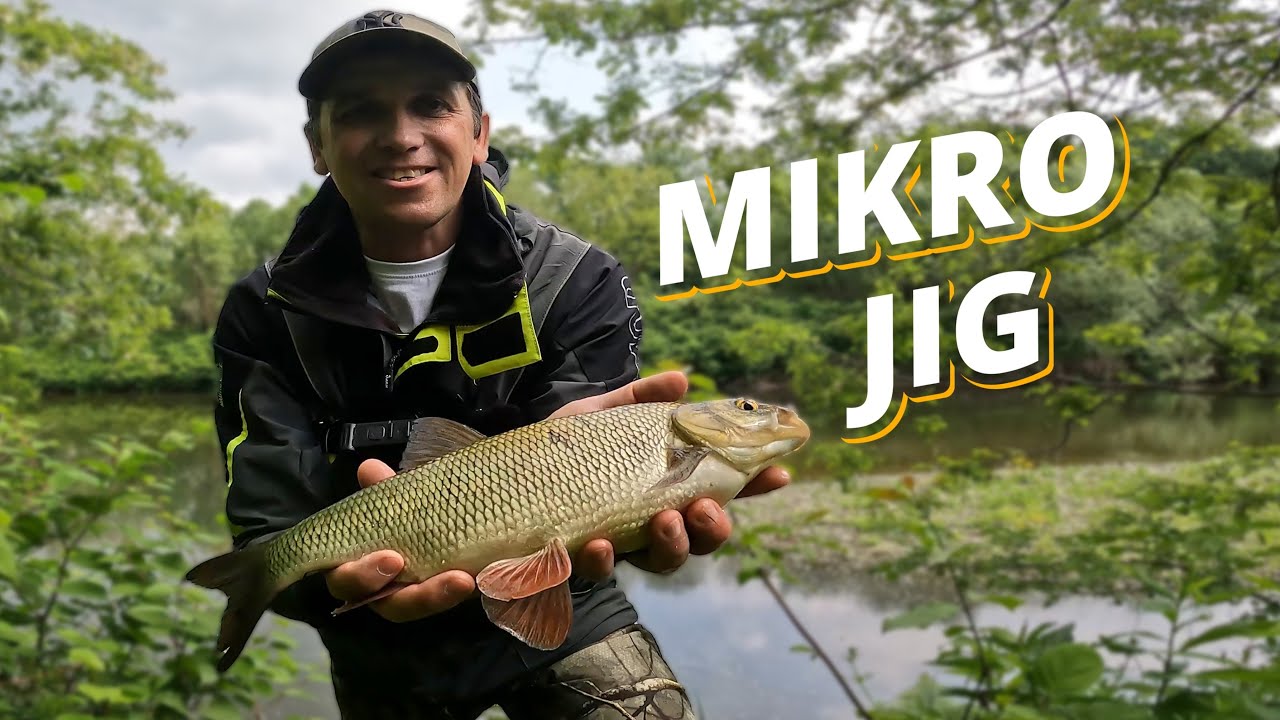 Mikro jig masakruje rzekę! Jaź, okoń i świnka 47 cm w deszczu