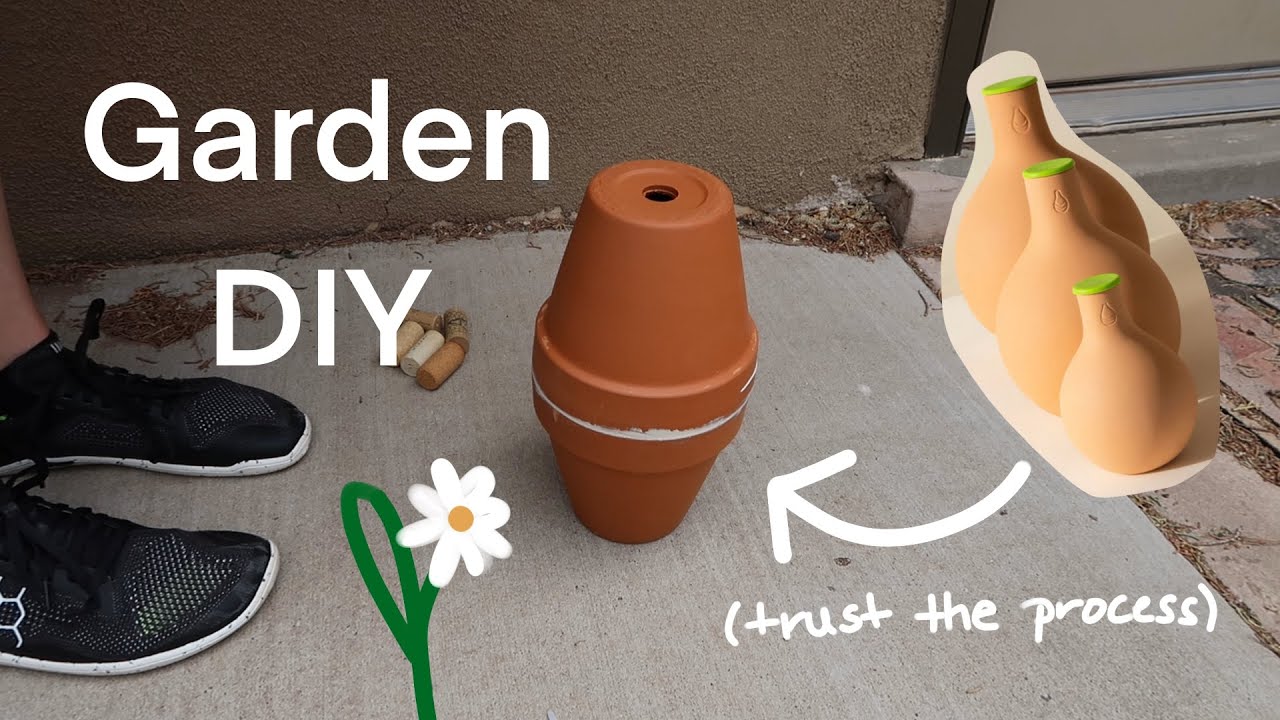DIY Olla | Irrigation without pipes!